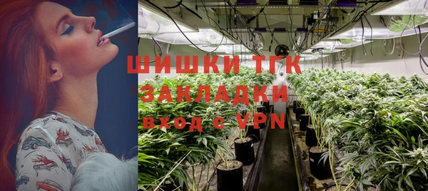 каннабис Новозыбков